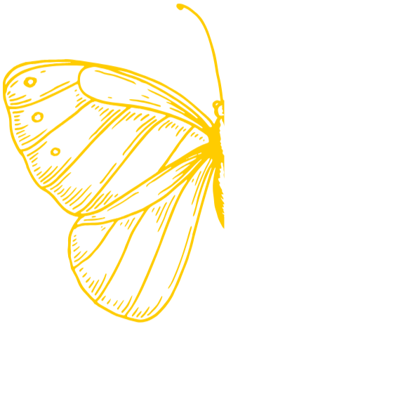 Flutter Fit